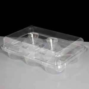 Plastic 6 Cavity Cupcake Containers